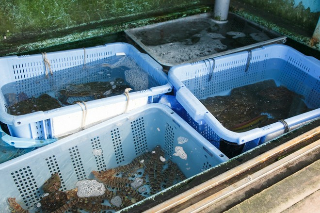 食材にこだわっている