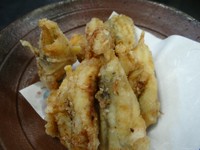 　片名漁港で揚がった彼岸フグです。
フグの中でこのフグが私は一番おいしいとおもいます。