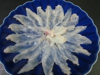 　フグのシーズン到来です。豊浜で揚がったトラフグ、茶フグの唐揚げ、焼き、煮つけをぜひご賞味ください。