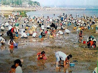 潮干狩り  シーズンオフです。