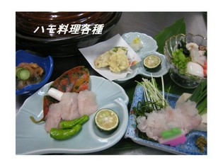 しゃぶしゃぶや煮付け、天ぷらなど9品以上付いた『鱧コース』