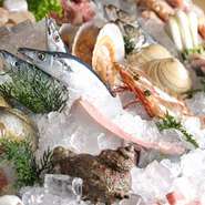 旬の新鮮な魚介類や串物を毎日仕入れてていねいに並べています。