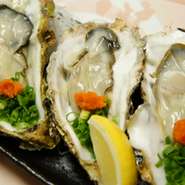 大粒の殻付き生がきが入りました！！（仕入れの都合で未入荷もございます）