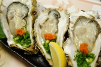 大粒の殻付き生がきが入りました！！（仕入れの都合で未入荷もございます）