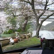 “桜”の景勝地　金仙寺湖畔の桜を一望できるお店