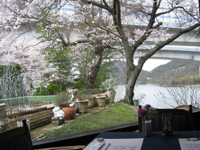 お花見におすすめ