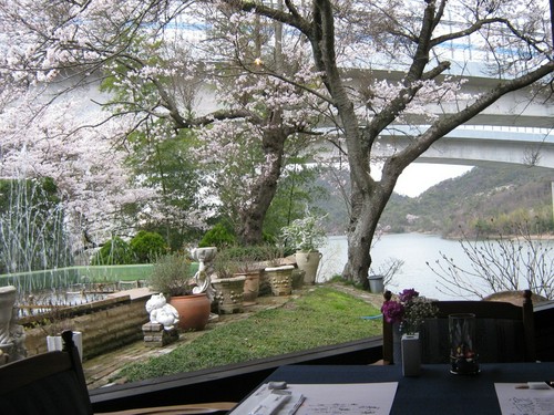 当店周辺の景色。桜が咲く季節は最高の雰囲気。