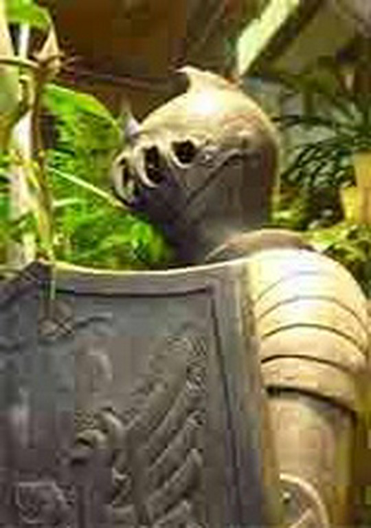 入口では甲冑がお出迎え