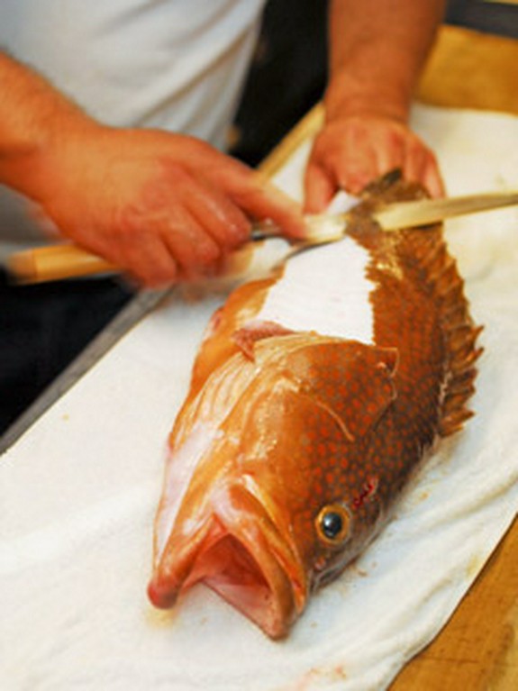 新鮮な魚貝類を楽しめる