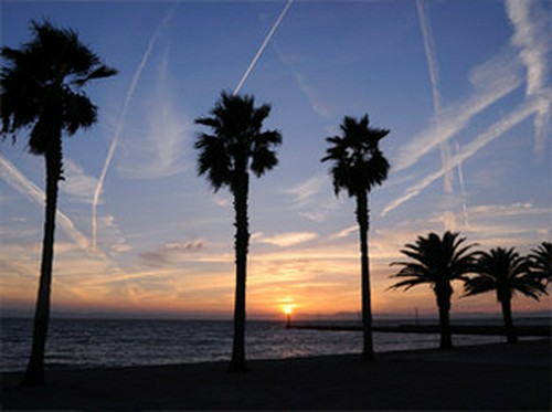 セントレア名物、飛行機雲が描く美しい夕暮れを眺めながら