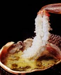 名物「越前蟹（ずわい蟹）」を使った身も心も温まるお料理の数々をお愉しみ下さい。