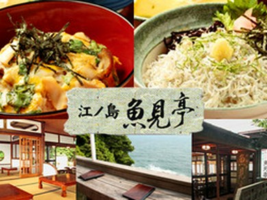江の島　和食　しらす丼