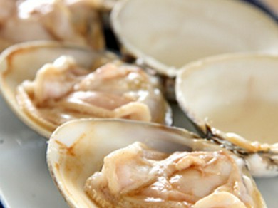 湘南海岸を目の前に、江の島グルメを堪能できる人気店。