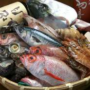  金石港産のいきいき魚市場より、生きた香箱ガニを仕入れています。