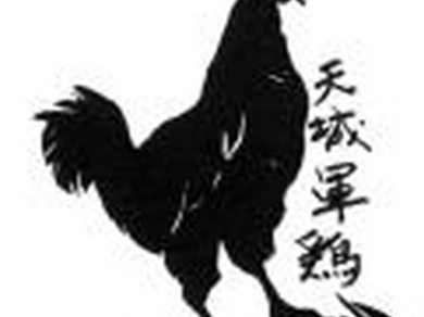 天城軍鶏もも焼