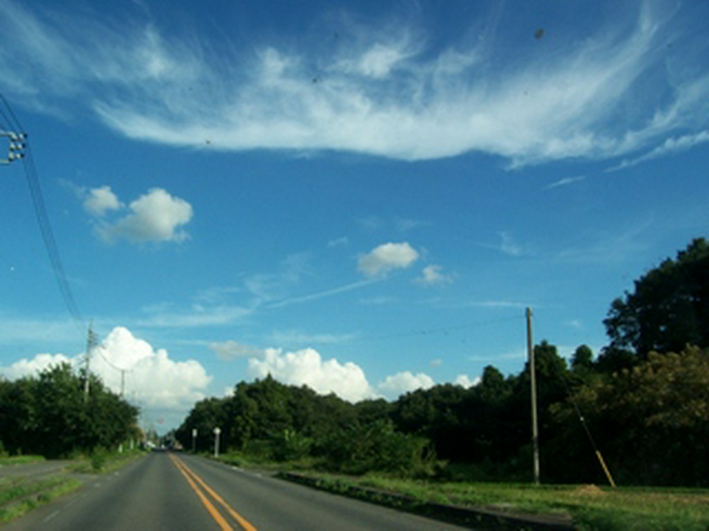 クリームあんみつ