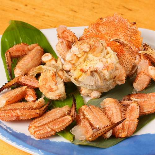 北海道 千歳市/恵庭市 近郊配送 不二貿易 トランクベンチ Dauchez 収納家具 店頭でのお受渡し大歓迎 不二貿易 収納BOXベンチ ブラック 190L(190L): 園芸資材