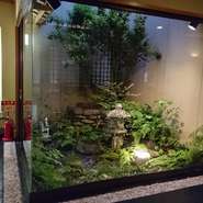 吹き抜けの坪庭に折々の季節を感じながらのお食事は格別なものがあります。モダン和風の素敵な店内はテーブル席、お座敷、個室とどのお席からも坪庭を眺めていただけます。
