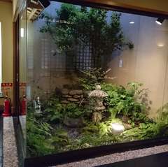 【坪庭】
