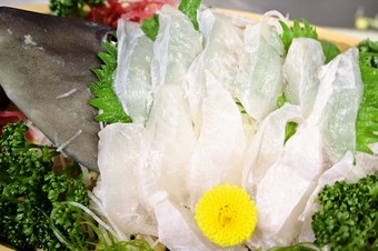 活かわはぎ造り　