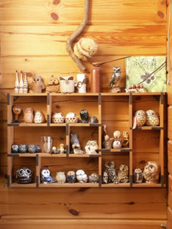 店内でフクロウ達がお待ちします