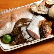 当店で扱う素材はすべて厳選しています。特に魚介は鳴門海峡で獲れたものを毎朝仕入れて、新鮮なうちに調理。季節ごとの味をいろいろな料理でお楽しみください。