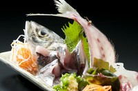 直送！朝一に水揚げされた旬の地魚をご提供します。