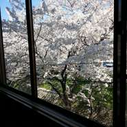 桜の時期は、店舗前が桜並木でお部屋からお花見ランチできます。