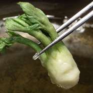たらの芽、ふきのとう、行者にんにくなど　春の野菜を薄衣でさっくり揚げてご提供いたします。