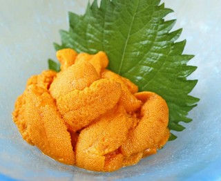 利尻産　海水うに