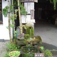 桜庵では水にもこだわり阿蘇天然の伏流水を使用しております。

雄大な阿蘇の自然がくれた水。

豊富なミネラルを含む阿蘇の水は口当たりがよく、まろやかな味わいです。