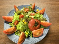トマトサラダ・野菜サラダ・大根サラダ