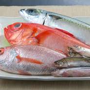 「のどぐろ」「はたはた」など「カニ」以外にも、熊本県ではなかなか口にすることのできない北陸産の食材をメインに使用。生の状態で仕入れております。