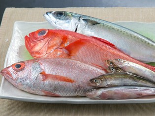 熊本県ではなかなか口にすることのできない「北陸の食材」