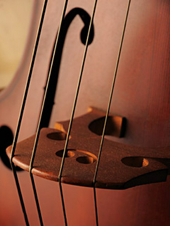 不定期でJAZZライブも行います