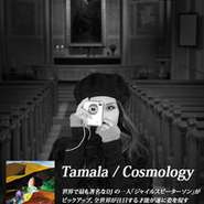 Tamala Cosmology 
