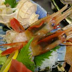 刺身の盛り合わせ　一人前