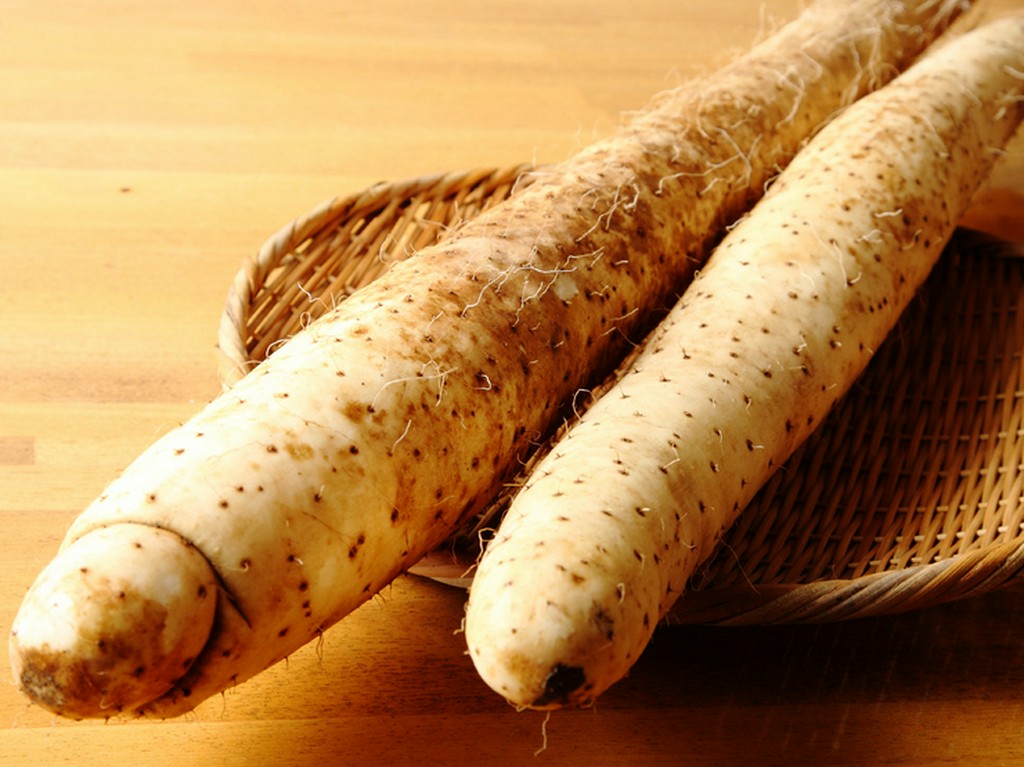 山形特産の長芋料理