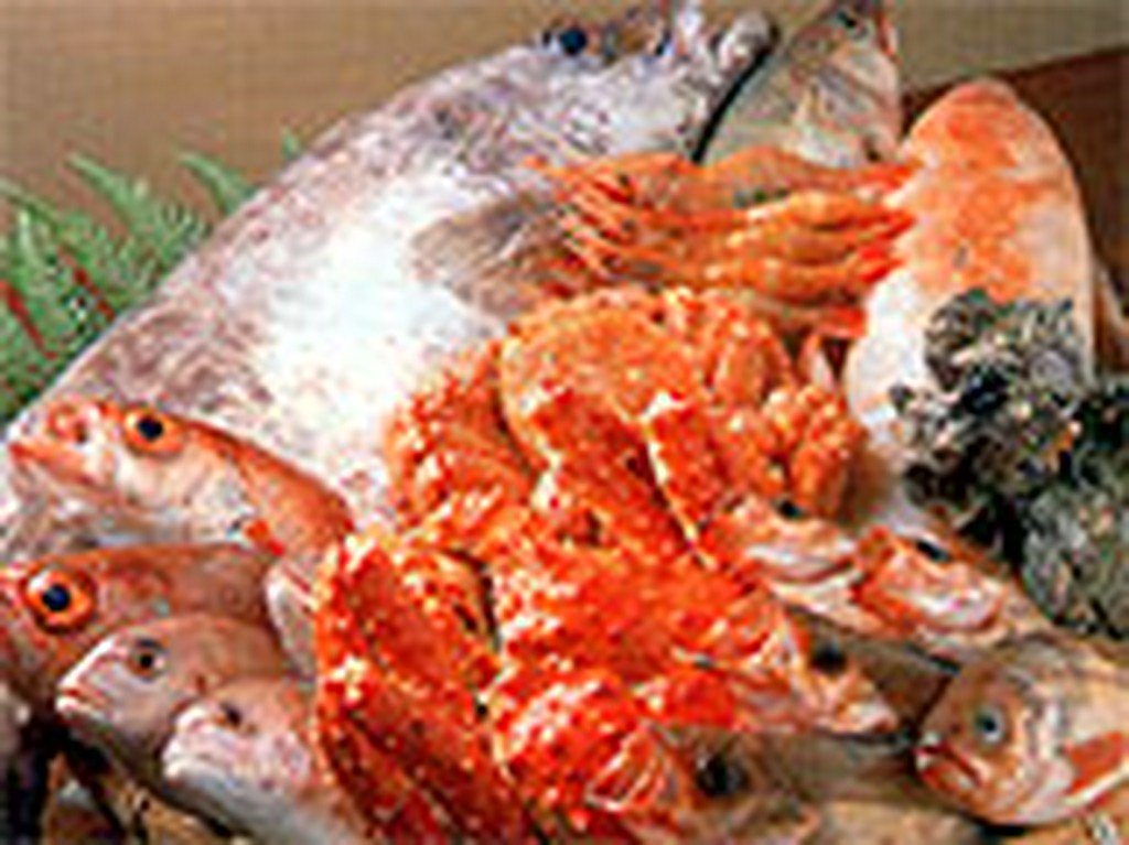 新鮮な海の幸をお召し上がり下さい