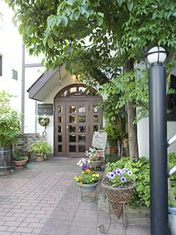 Western cuisine Maykiss