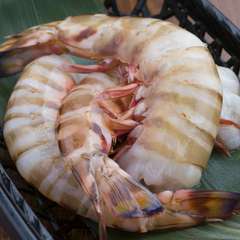 シーフードは季節に合わせて旬の素材を仕入れます