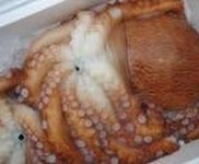 炙りも美味！　850円
一般的な蛸（マダコ）より2～3倍大きく、新鮮な物はプリプリの食感を楽しめます。