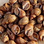 厚みのある身は、食感が楽しくほのかに甘みがあり絶品です。 
しかも身が取り出しやすいという優等生！