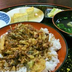 するめ烏賊かき揚丼