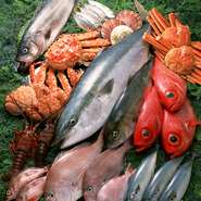 朝じめの新鮮な魚を厳選して仕入れており、その季節ならではの味を提供しています。脂が乗ったブリを『海鮮しゃぶしゃぶ』でお出しするなど、今しか食べられない美味しさを味わっていただけるようにしています。