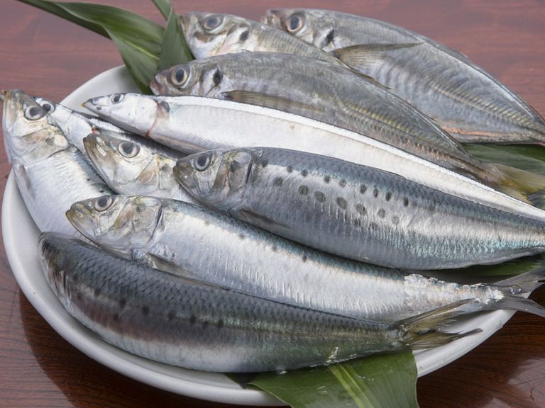 四季の移ろいにあわせて、旬の魚介がいつでも賑わう