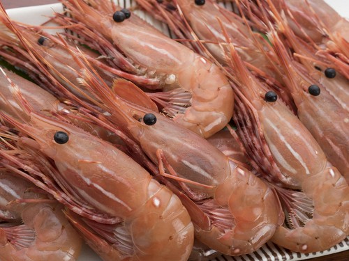 甘くて美味しい、とれたてのボタンエビ