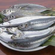 アシが早いネタなので、とにかく新鮮な状態で食べてもらう様、気を使っています。繁盛させて頂いていますので、いろいろな『光物』を仕入れても、全て新鮮なうちに売る事ができているんです。お客様に感謝です。