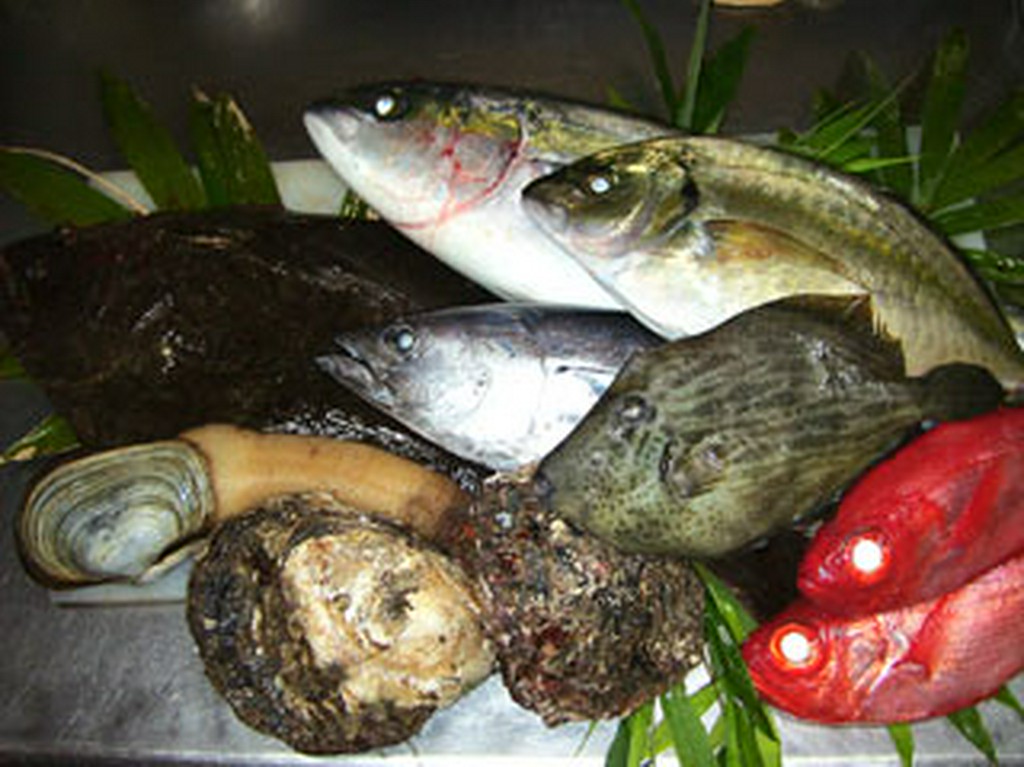 市場で仕入れた新鮮な魚介類