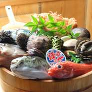 トラフグやクエ、大間のマグロに関サバなど、新鮮な海の幸を日本全国から取り寄せています。